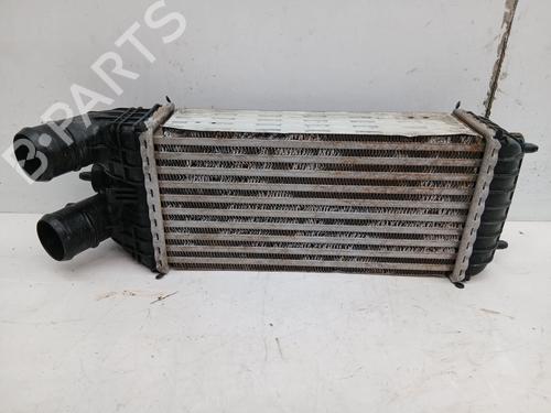Intercooler Intercooler 30300486 30300486
