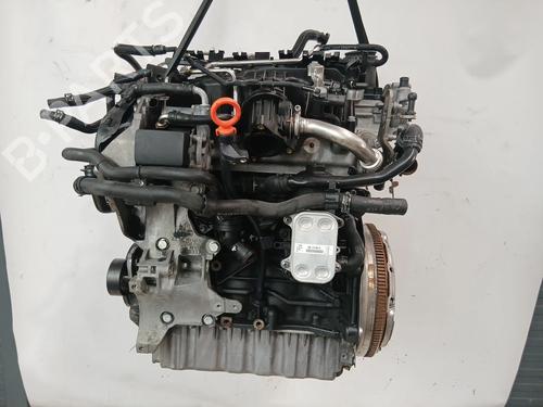 Used Engine Engine 38646442 38646442