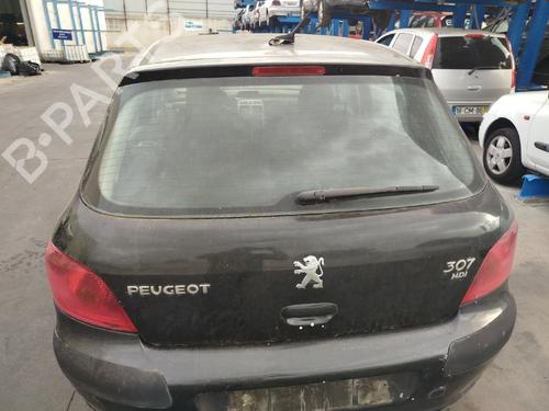 tailgate-peugeot-307-3ac-2000-2001-2002-2003-2004-2005-2006-2007-2008-2009-2010-2011-2012-39560762 main image