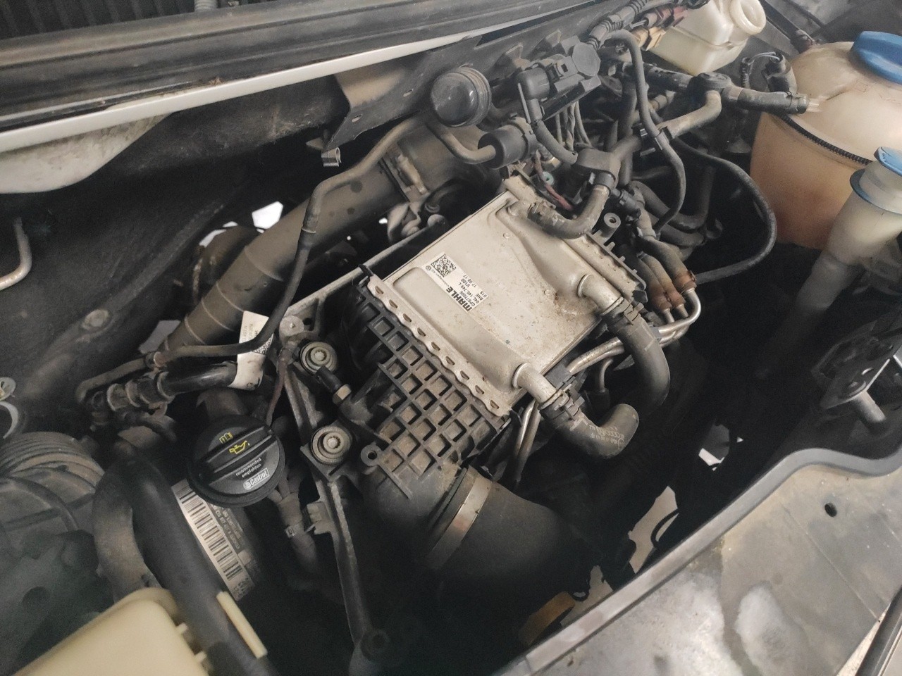 Sha Engine Engine VW TRANSPORTER T6 Van (SGA, SGH, SHA, SHH) 2.0 TDI 8239472 | B-Parts