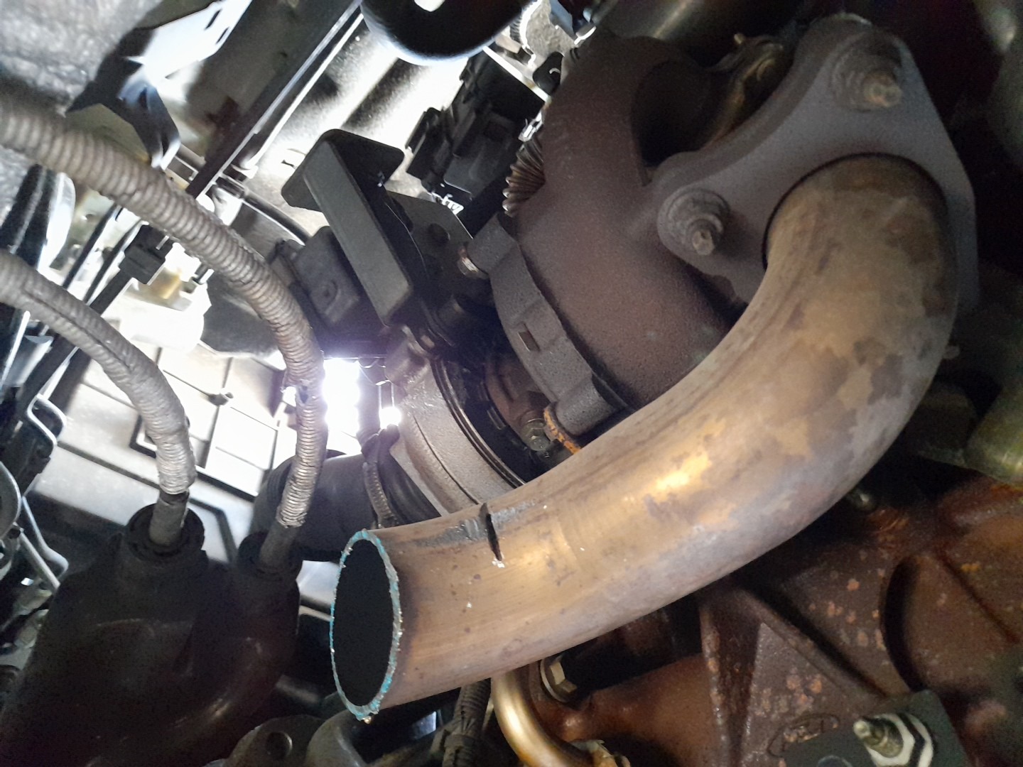 Turbo FORD FOCUS C-MAX (DM2) 1.8 TDCi 16373776 | B-Parts 