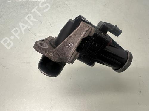 Egr für RENAULT KANGOO Express (FW0/1_) 1.5 dCi 75 (FW07, FW10, FW04) (75 hp) 31719813
