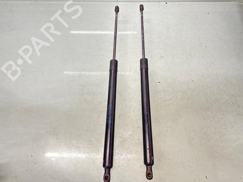 Used Tailgate lift support FORD TRANSIT CUSTOM V362 Van (FY, FZ) 2.2 TDCi (100 hp) 31289207