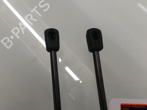 Hood lift support BMW 3 (F30, F80) 320 d | BP13157704C139 