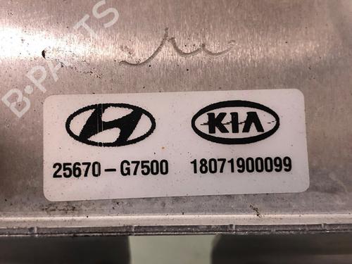 AC radiator HYUNDAI IONIQ (AE) Electric | BP16103991M32 