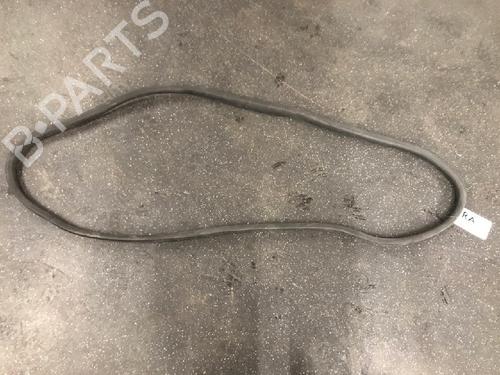 Gummilist RENAULT ZOE (BFM_) ZOE (88 hp) 13160380