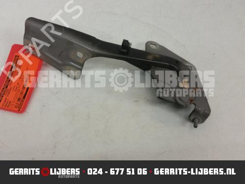 Used Hinge/Door check strap RENAULT MEGANE III Grandtour (KZ0/1) 1.5 dCi (KZ09, KZ0D, KZ1G, KZ29, KZ14, KZ1W, KZ10, KZ1F,... (110 hp) 13156887