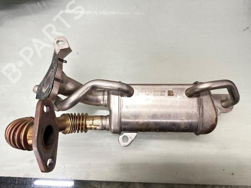 Egr für RENAULT KANGOO Express (FW0/1_) 1.5 dCi 75 (FW07, FW10, FW04) (75 hp) 31719806