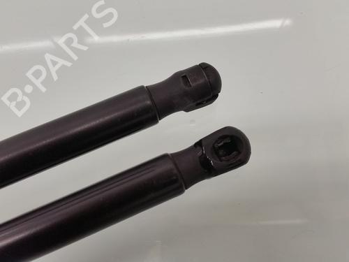 Tailgate lift support FORD FIESTA VI (CB1, CCN) 1.25 | BP13157756C138