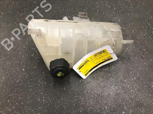 Used Expansion tank RENAULT KANGOO Express (FW0/1_) 1.5 dCi 90 (FW0G, FW05, FW08, FW11) (90 hp) 12478920