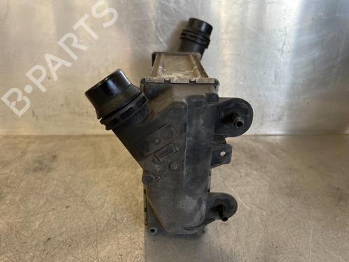 Ladeluftkühler RENAULT TWINGO II (CN0_) 1.5 dCi 90 | BP16161071M30 
