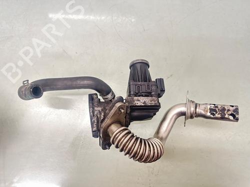 Egr FORD TRANSIT CUSTOM V362 Van (FY, FZ) 2.2 TDCi | BP31719716M69 - Image 2