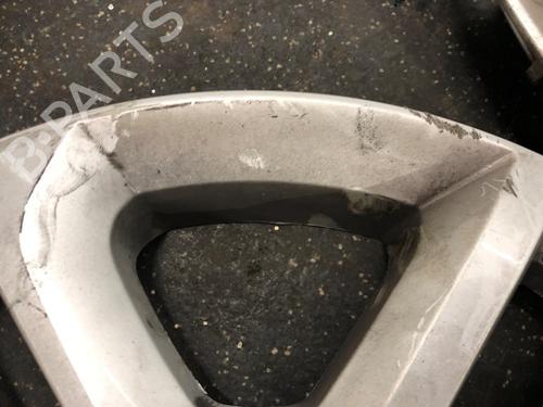 Hub cap RENAULT MEGANE IV Hatchback (B9A/M/N_) 1.3 TCe 100 (B9N8) | BP22606899C160 