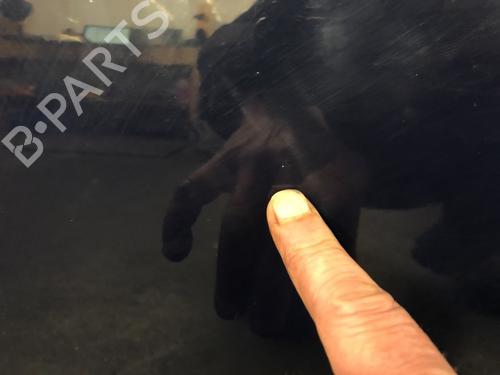 Left rear door DACIA LOGAN MCV II TCe 90 (K8M1, K8MA, K8AC) | BP12486062C4 