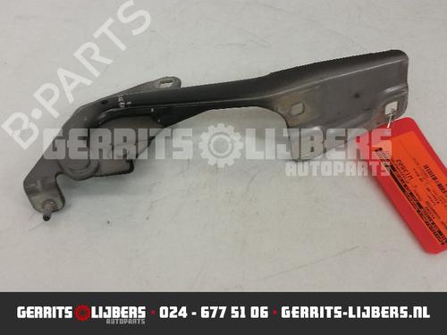 Used Hinge/Door check strap RENAULT MEGANE III Grandtour (KZ0/1) 1.5 dCi (KZ09, KZ0D, KZ1G, KZ29, KZ14, KZ1W, KZ10, KZ1F,... (110 hp) 13156886