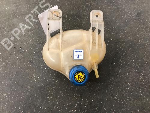 Used Expansion tank FIAT PUNTO EVO (199_) 1.2 (69 hp) 12482028