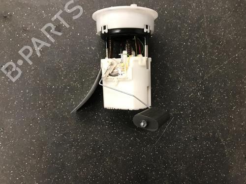 Fuel pump FORD FIESTA VI (CB1, CCN) 1.25 | BP12482418M76 