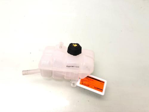 Used Expansion tank RENAULT MEGANE IV Grandtour (K9A/M/N_) 1.2 TCe 100 (100 hp) 23202001