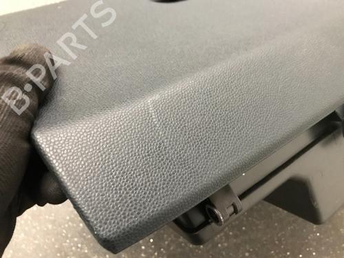 Glove box FORD FIESTA VI (CB1, CCN) 1.25 | BP12482425C95 