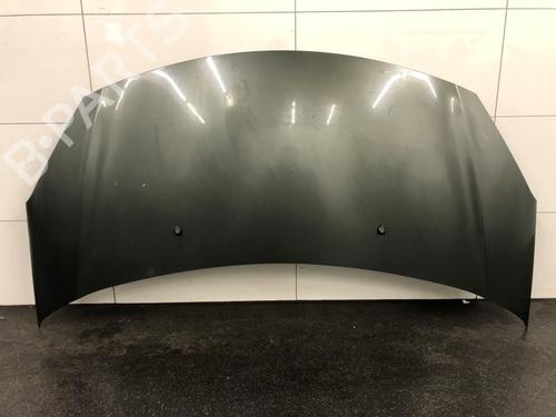 Used Hood CITROËN C3 II (SC_) 1.4 HDi 70 (SC8HZC, SC8HR0, SC8HP4) (68 hp) 17040350