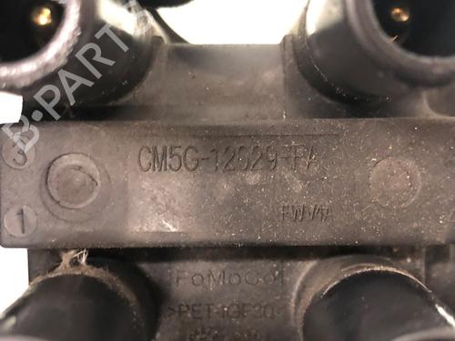 Ignition coil FORD FIESTA VI (CB1, CCN) 1.25 | BP15647335M94 