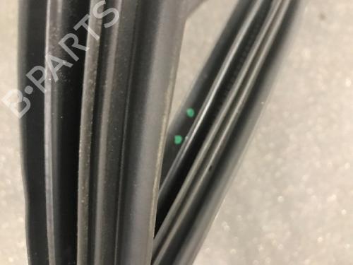 Rubber door seal RENAULT ZOE (BFM_) ZOE | BP13160626C142