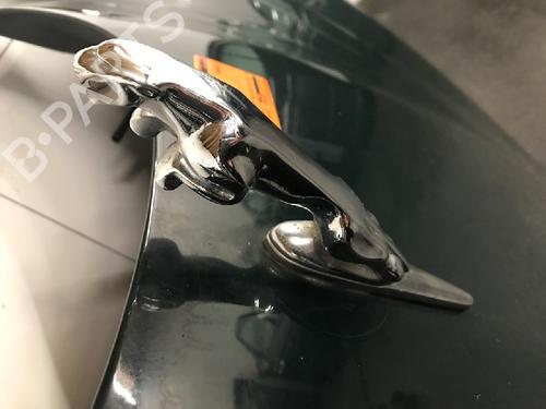 Hood JAGUAR S-TYPE II (X200) 3.0 V6 | BP12476627C1 