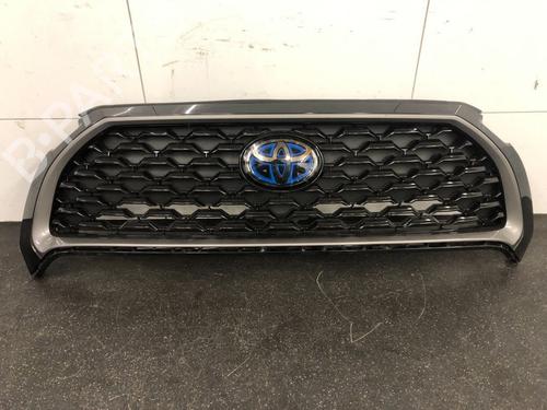 Used Grille Grille 15631617 15631617