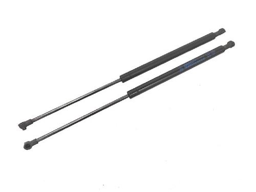 Used Tailgate lift support FIAT PANDA (169_) 1.2 (169.AXB11, 169.AXB1A) (60 hp) 13158979