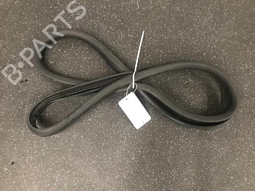 Gummiliste RENAULT ZOE (BFM_) ZOE (88 hp) 13160628