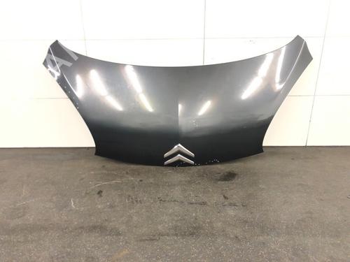Panser CITROËN C1 (PM_, PN_) 1.0 (68 hp) 15630269