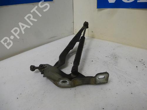 Hinge/Door check strap VOLVO V70 III (135) D5 | BP13159412C146 
