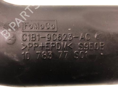 Pipe FORD FIESTA VI (CB1, CCN) 1.0 Sport | BP15633467M125 