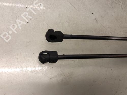 Tailgate lift support OPEL MERIVA B MPV (S10) 1.4 (75) | BP28717794C138