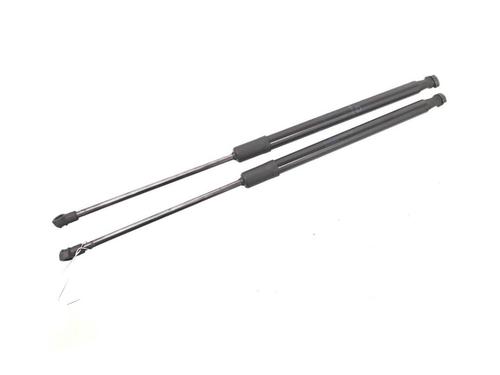 Used Tailgate lift support RENAULT SCÉNIC IV (J9_) 1.3 TCe 140 (140 hp) 13162116