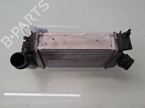 Intercooler NISSAN MICRA V (K14) 0.9 IG-T | BP38068338M30 - Image 2
