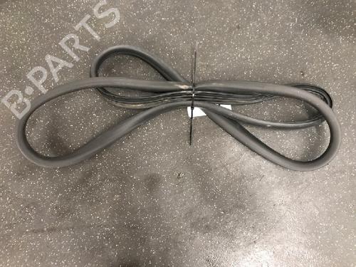 Gummiliste RENAULT ZOE (BFM_) ZOE (88 hp) 13160540