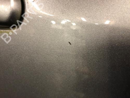 Right rear door OPEL AGILA B (H08) 1.2 (F68) | BP22605697C5 