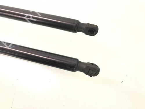 Tailgate lift support FIAT TIPO Estate (356_, 357_) 1.3 D (356WXH1A) | BP13162748C138 