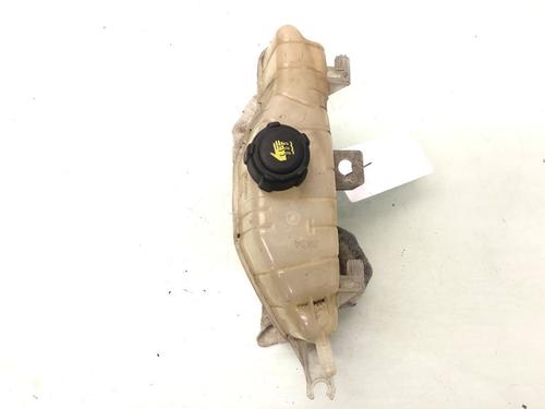 Ekpansionstank RENAULT CLIO III (BR0/1, CR0/1) 1.2 16V (BR02, BR0J, BR11, CR02, CR0J, CR11) (75 hp) 22605705