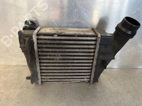 Ladeluftkühler RENAULT TWINGO II (CN0_) 1.5 dCi 90 | BP16161071M30 