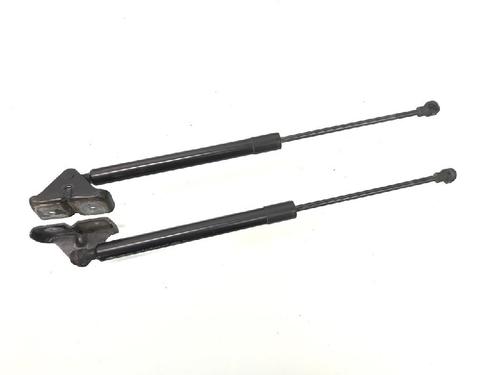 Gasdæmper bagklap RENAULT ZOE (BFM_) ZOE (88 hp) 13160352