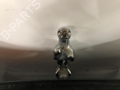 Hood JAGUAR S-TYPE II (X200) 3.0 V6 | BP12476627C1 