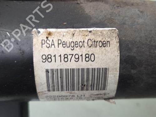 Venstre fortil støddæmper CITROËN C4 CACTUS 1.6 BlueHDi 100 | BP39405264M16 - Image 5