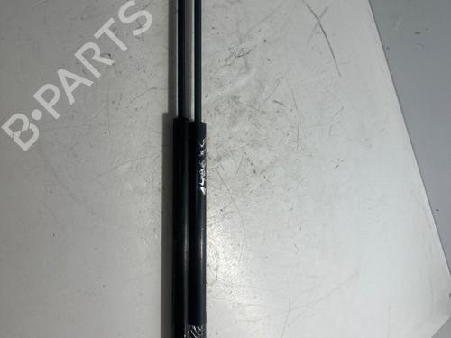 tailgate-lift-support-renault-laguna-ii-bg01_-2001-2002-2003-2004-2005-2006-2007-33334008 main image