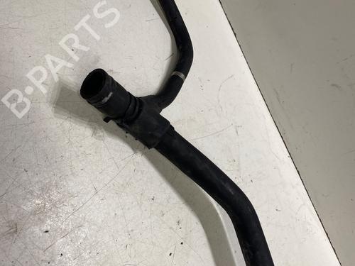 Rør RENAULT SCÉNIC I MPV (JA0/1_, FA0_) 1.9 dCi (JA05, JA1F) | BP29385065M125