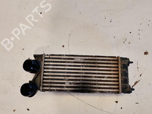 Intercooler CITROËN BERLINGO MULTISPACE (B9) 1.6 HDi 90 | BP37594902M30 - Image 6