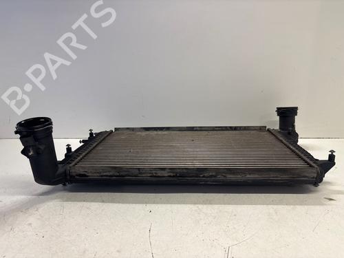 Ladeluftkühler VW CADDY III MPV (2KB, 2KJ, 2CB, 2CJ)  | BP28689660M30