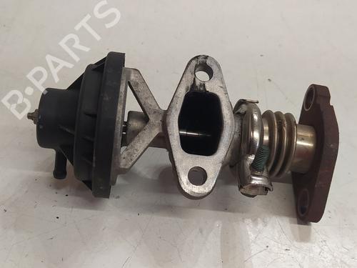 Egr SEAT CORDOBA (6L2)  | BP24457246M69 