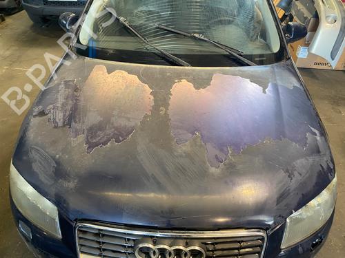 Capot Capot AUDI A3 (8P1) 1.9 TDI (105 hp) 37082582 37082582
